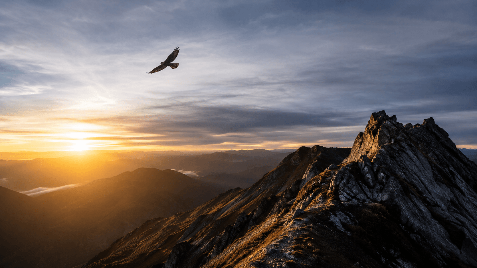 Mountain ridge at sunrise with a bird in flight.